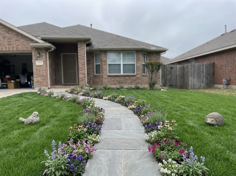 Front lawn renovation — after