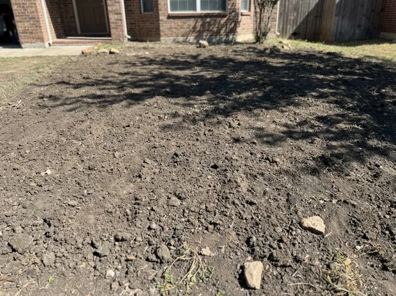 Front lawn renovation — before